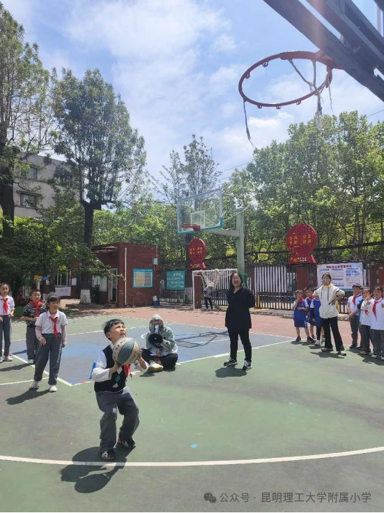 如何通过合理的营养补充来支持篮球恢复训练?_0